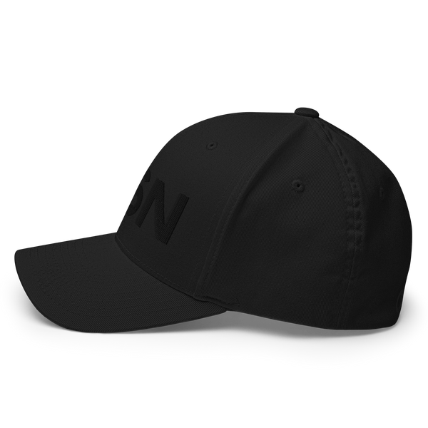 QSN FlexFit Closed Back Hat - Black Logo