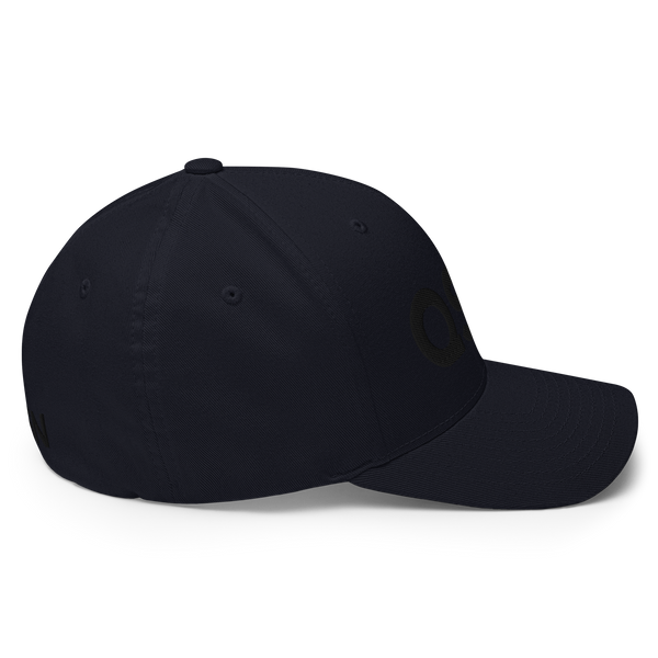 QSN FlexFit Closed Back Hat - Black Logo