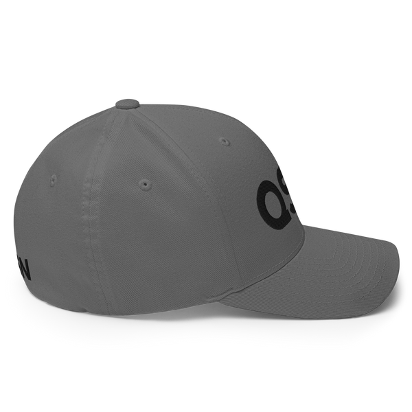 QSN FlexFit Closed Back Hat - Black Logo