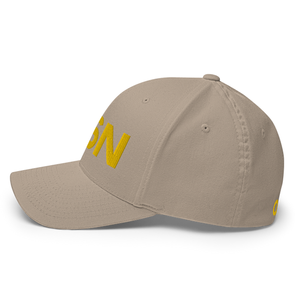 QSN FlexFit Closed Back Hat - Gold Logo