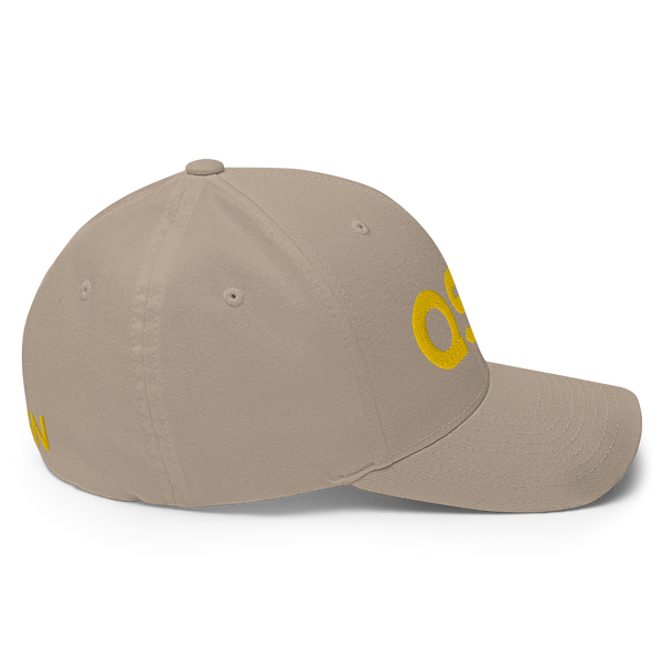 QSN FlexFit Closed Back Hat - Gold Logo