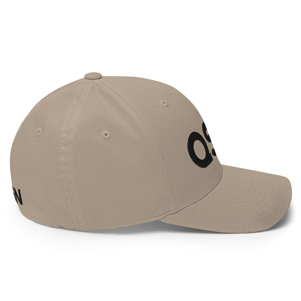 QSN FlexFit Closed Back Hat - Black Logo