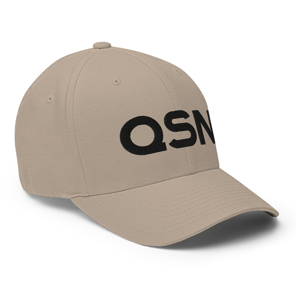 QSN FlexFit Closed Back Hat - Black Logo