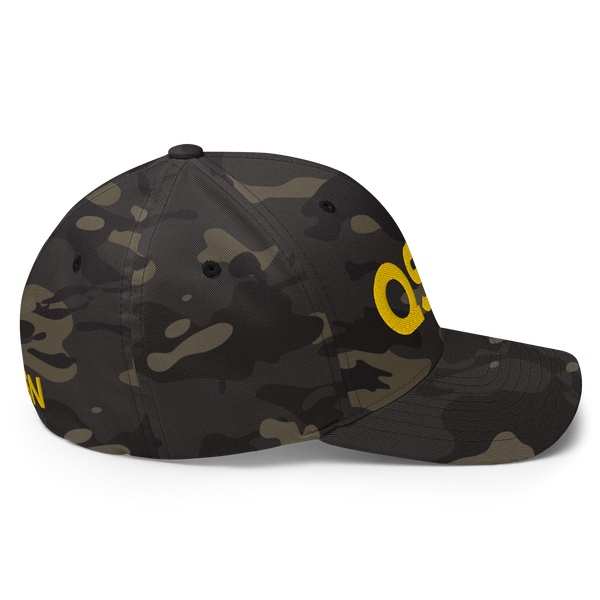 QSN FlexFit Closed Back Hat - Gold Logo