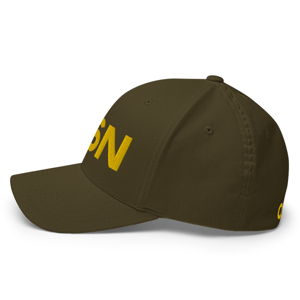 QSN FlexFit Closed Back Hat - Gold Logo