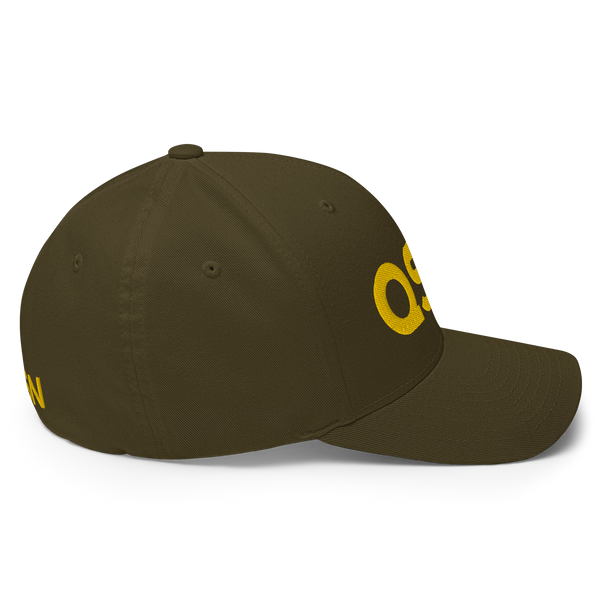 QSN FlexFit Closed Back Hat - Gold Logo