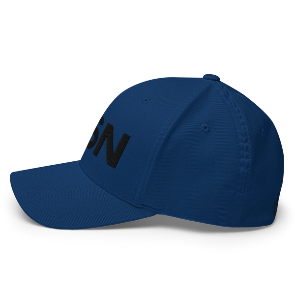 QSN FlexFit Closed Back Hat - Black Logo