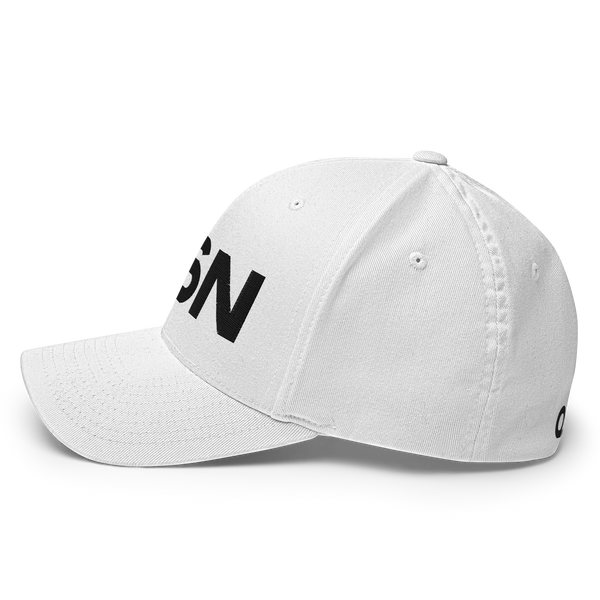QSN FlexFit Closed Back Hat - Black Logo