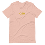 QSN Embroidered Unisex V3 Short-Sleeve T-Shirt (17 Colors) - Gold Logo