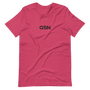 QSN Embroidered Unisex V1 Short-Sleeve T-Shirt (17 Colors) - Black Logo